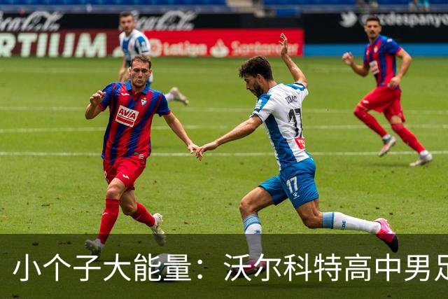 小个子大能量：沃尔科特高中男足的速度奇迹