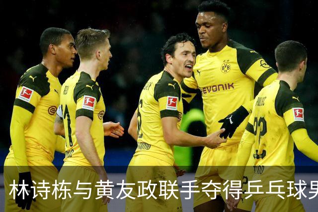林诗栋与黄友政联手夺得乒乓球男双金牌
